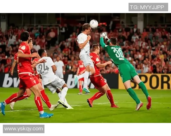 德甲焦点战：沃尔夫斯堡VS弗赖堡深度分析